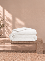 Premium Quality 100% Egyptian Cotton 1000 TC, White King Bedsheet with 4 Pillow Covers, Infinity