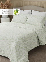 Nature Bouquet 100% Cotton 300 TC King Bedsheet with 2 Pillow Covers | Floral Fragrance Bedsheet Set