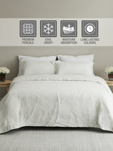 Cottage Garden 100% Cotton 300 TC Cream & Blue Ethnic Print King Bedsheet with 2 Pillow Covers - Perfect for Gifting
