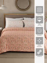 Valatia 100% Cotton 200 TC Peach Floral King Bedsheet with 2 Pillow Covers