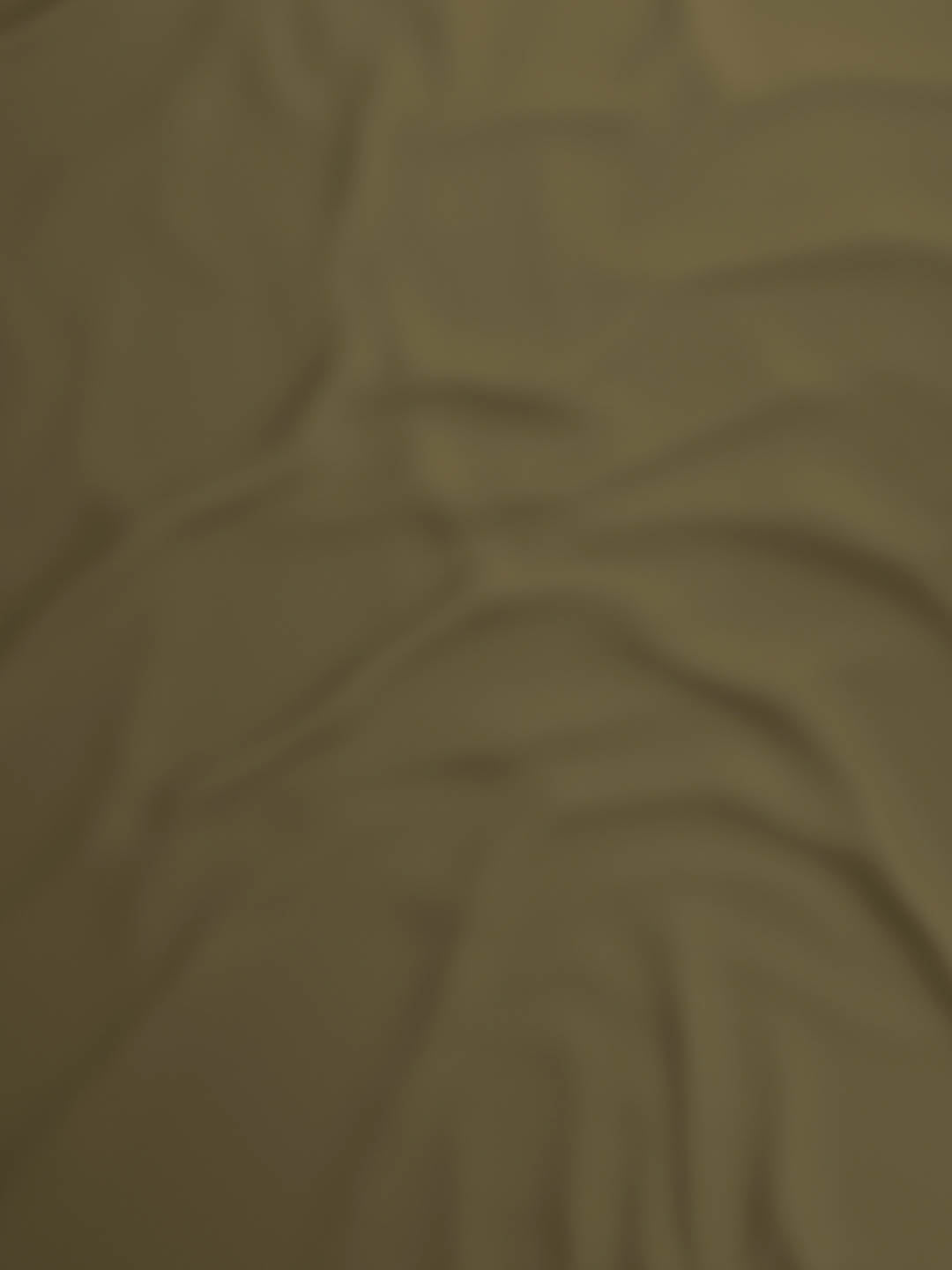 100% Cotton 300 TC, King Size Dyed Bedsheet with 1 Duvet Cover and 4 Pillow Covers, Emblem Collection - Dusky Green