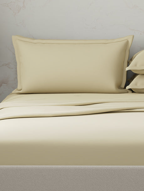 Emblem 100% Cotton 300 TC Beige Solid King Dyed Bedsheet with 4 Pillow Covers