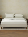 Cotton Charm 400 TC 100% Cotton King Size Dyed Bedsheet with 4 Pillow Covers - Sweet Corn