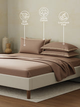 Cotton Charm 400 TC 100% Cotton Brown King Size Dyed Bedsheet with 4 Pillow Covers