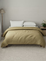 Beige comforter on a bed in a bedroom setting with a lamp and plant.