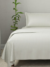 100% Cotton King Bedsheet Set, 210 TC Sage Green Stripes, Elegant Collection
