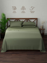 100% Cotton, King Bedsheet Set, 300 TC Solid, Emblem