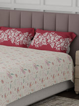100% Cotton King Bedsheet Set, 200 TC Floral, Valatia